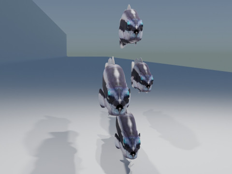 Striped Dottyback Fish Modello 3D