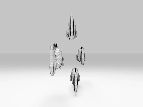 Striped Dottyback Fish 3D Model