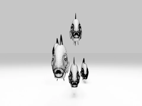 Springeri Dottyback Fish 3D Model