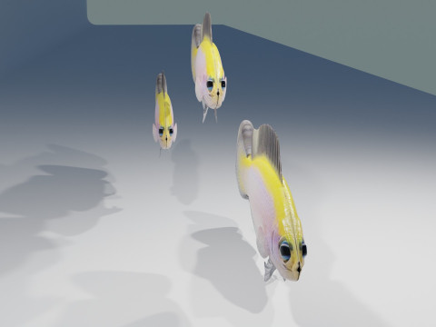 Sunrise Dottyback Fish Modelo 3D
