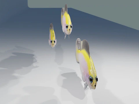 G&uuml;ndoğumu Dottyback Balığı 3D Model