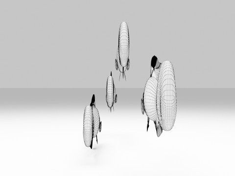 Sunrise Dottyback Fish Modelo 3D