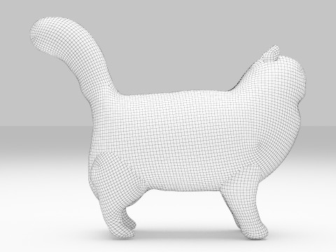 Siberian Cat 3D Model