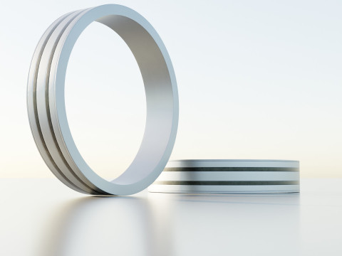 Silver Ring 3D Model