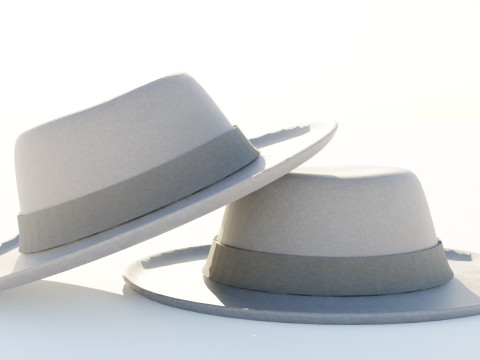 Fedora Hat 3D मॉडल
