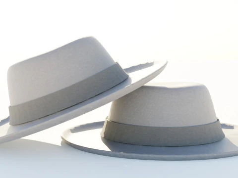Fedora Hat 3D Model
