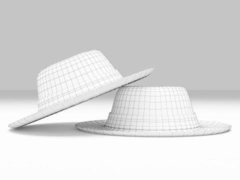 Fedora Hat 3D मॉडल