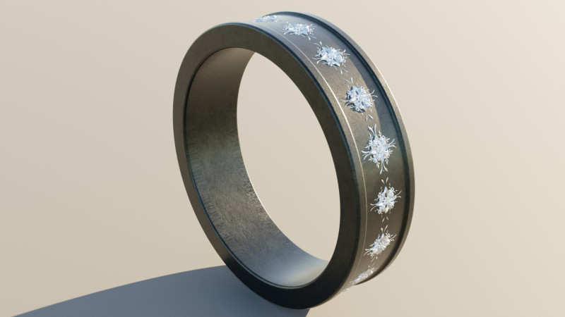 Wedding Ring Titanium 3D Modell .c4d .max .obj .3ds .fbx .stl .blend
