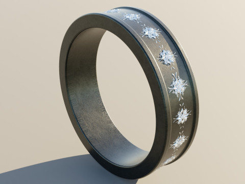 Wedding Ring Titanium 3Dモデル