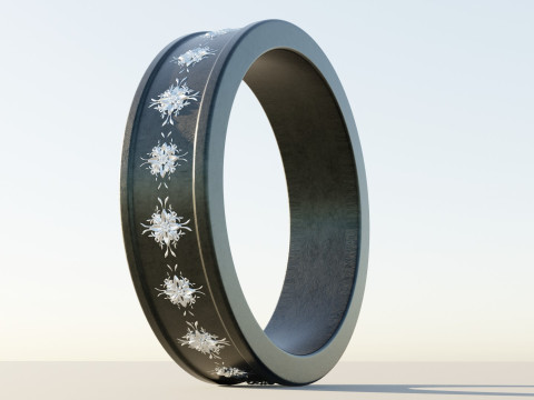 Wedding Ring Titanium 3D Modell