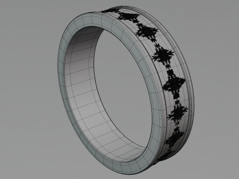 Wedding Ring Titanium 3D Modell