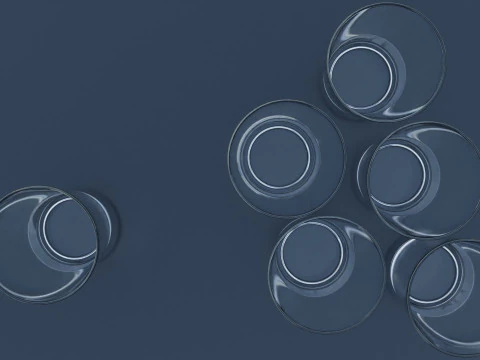 6pcs Drink Glass 3D Model