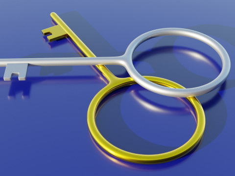Padlock Key 3Dモデル