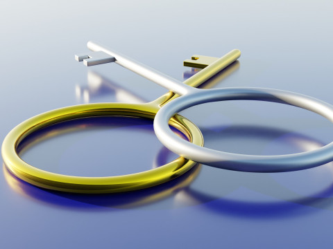 Padlock Key 3Dモデル