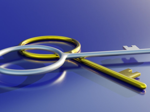 Padlock Key 3Dモデル