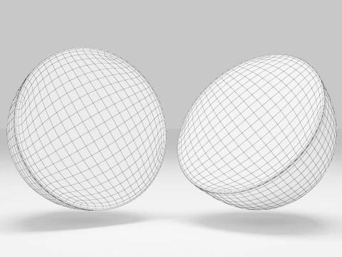 Lemon Slices 3D Model