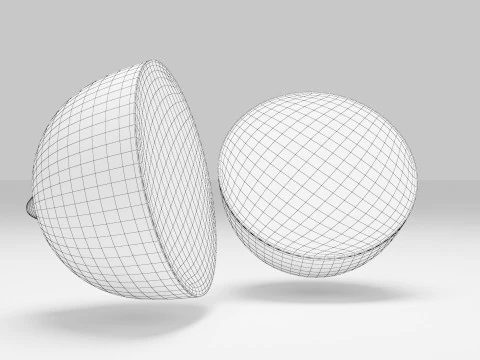 Lemon Slices 3D Model