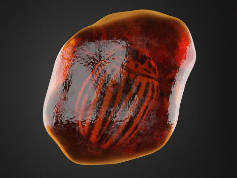Fossilized Amber 3D 모델