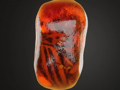 Fossilized Amber 3D Model