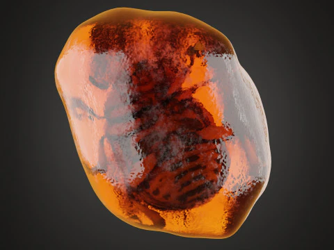 Fossilized Amber 3D Model