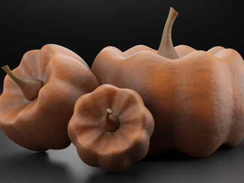 Pumpkins 3D मॉडल