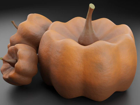 Balkabakları 3D Model