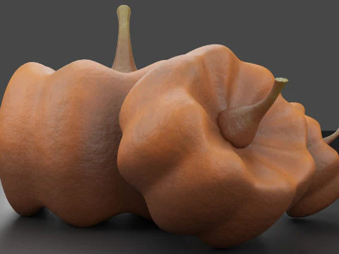 Balkabakları 3D Model