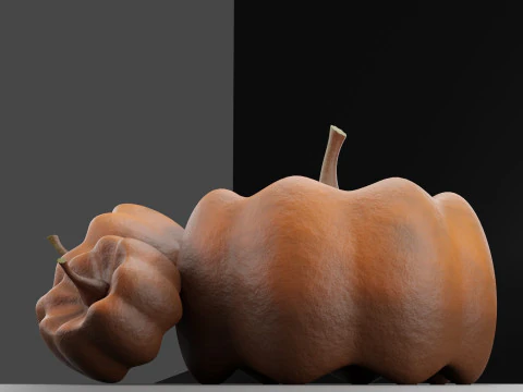 Balkabakları 3D Model