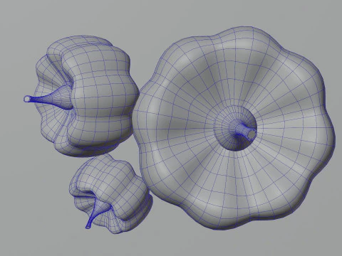 Balkabakları 3D Model