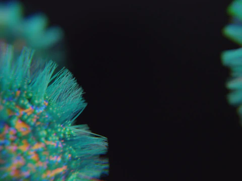 Sci-Fi Virus 3D Model