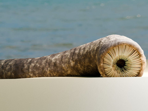 Dune Sandworm Modello 3D