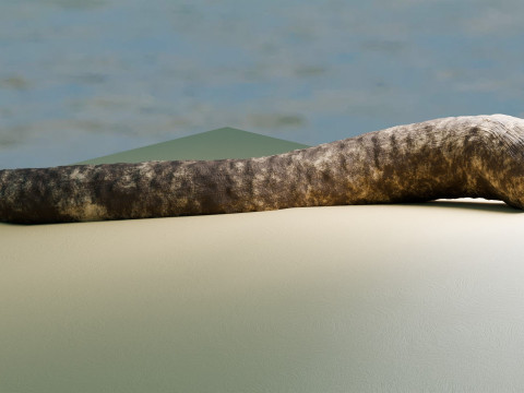 Dune Sandworm Modello 3D