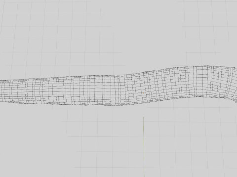 Dune Sandworm Modello 3D
