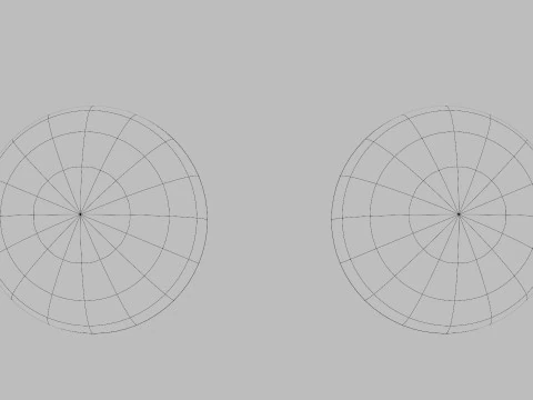 Raspberry and Blackberry 3D Model