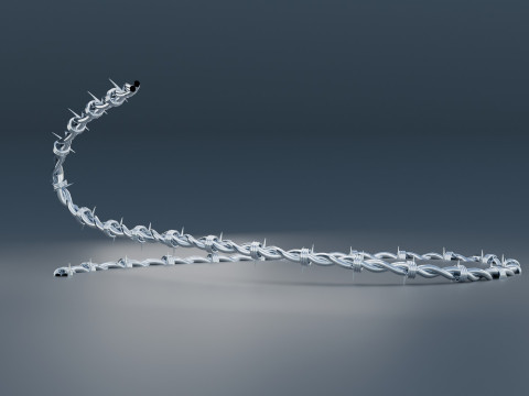 Barbed Wire Model 3D