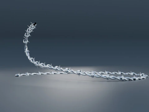 Barbed Wire 3D Model
