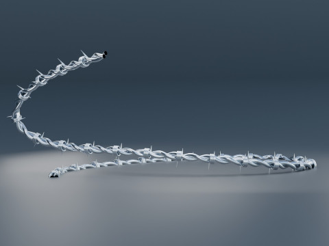 Barbed Wire 3D Model
