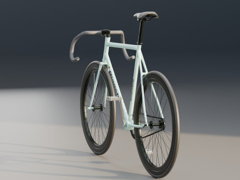 Bianchi Fixed Bike 3D Model