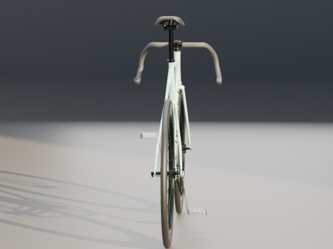 Bianchi Fixed Bike 3D Model