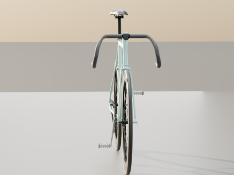 Bianchi Fixed Bike 3D Model