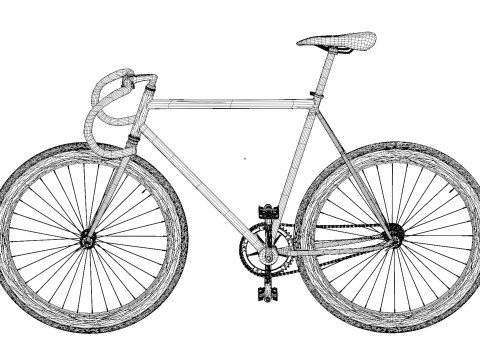 Bianchi Fixed Bike 3D Model