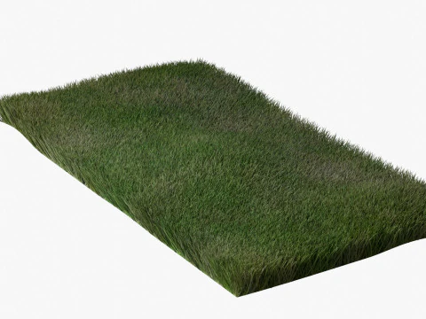 Warm Season Grass 3D Model