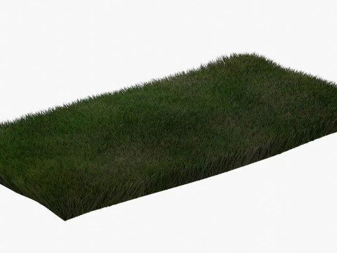Warm Season Grass 3D Model