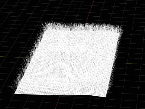 Warm Season Grass Modelo 3D