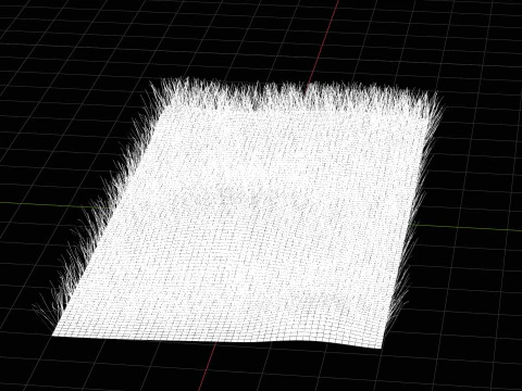 Warm Season Grass 3D Model