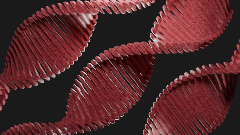 Sci-FI DNA 3Dモデル .c4d .max .obj .3ds .fbx .stl .blend 