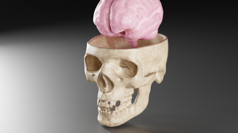 Liquid Brain Animation Modelo 3D .c4d .max .obj .3ds .fbx .stl .blend