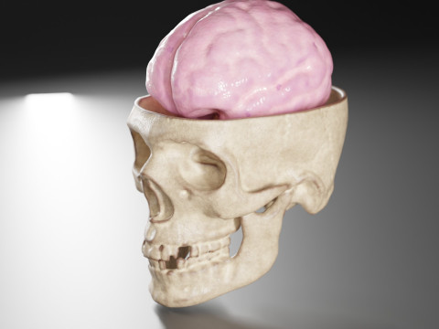 Liquid Brain Animation Modelo 3D
