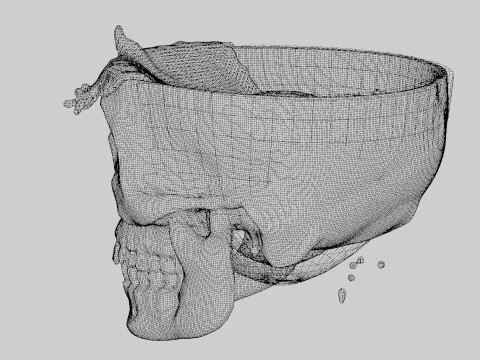 Liquid Brain Animation Modelo 3D