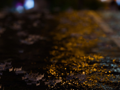 Animated Rain 3D 模型